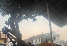 ਵਿਧਾਇਕ ਸ਼ੈਰੀ ਕਲਸੀ ਵਲੋਂ ਬਟਾਲਾ ਸ਼ਹਿਰ ਨੂੰ ਖੂਬਸੂਰਤ ਦਿੱਖ ਦੇਣ ਲਈ ਕੀਤੇ ਜਾ ਰਹੇ ਹਨ ਖਾਸ ਉਪਰਾਲੇ