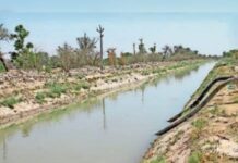 नारनौल और नांगल चौधरी में सिंचाई का पानी पहुंचाने का रास्ता हुआ साफ़