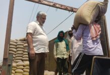 ਹੱਥੋ ਹੱਥ ਵਿਕ ਰਹੀ ਕਣਕ, ਕਿਸਾਨਾਂ ਨੂੰ ਹੁਣ ਤੱਕ 20500 ਕਰੋੜ ਰੂਪਏ ਦੀ ਕੀਤੀ ਅਦਾਇਗੀ- ਲਾਲ ਚੰਦ ਕਟਾਰੂਚੱਕ