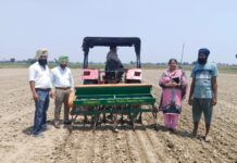 ਝੋਨੇ ਦੀ ਸਿੱਧੀ ਬਿਜਾਈ ਹੀ ਜ਼ਮੀਨੀ ਪਾਣੀ ਬਚਾਉਣ ਦਾ ਹੱਲ: ਮੁੱਖ ਖੇਤੀਬਾੜੀ ਅਫ਼ਸਰ