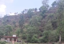 ਆਤਮਨਿਰਭਰ ਅਤੇ ਮਜ਼ਬੂਤ ਪੇਂਡੂ ਅਰਥਵਿਵਸਥਾ ਦਾ ਭਰੋਸੇਯੋਗ ਆਧਾਰ — ‘ਕੁਦਰਤੀ ਖੇਤੀ ਪੱਧਤੀ’ ਹਿਮਾਚਲ ਪ੍ਰਦੇਸ਼ ਵਿੱਚ ਪਿਛਲੇ ਕੁਝ ਸਾਲਾਂ ਦੌਰਾਨ ਕਿਸਾਨਾਂ ਅਤੇ ਬਾਗਬਾਨਾਂ ਵਿੱਚ ਕੁਦਰਤੀ ਖੇਤੀ ਪ੍ਰਤੀ ਰੁਝਾਨ ਵਧਿਆ ਹੈ। ਲੋਕ ਰਸਾਇਣ ਮੁਕਤ ਖੇਤੀ ਵੱਲ ਵੱਧ ਰਹੇ ਹਨ। ਅੱਜ ਹਾਲਤ ਇਹ