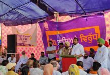 ਕਿਸਾਨ ਜਮੀਨ ਵਿੱਚ ਹਰੀ ਖਾਦ ਵਾਲੀਆਂ ਫਸਲਾ ਬੀਜ ਕੇ ਮਿੱਟੀ ਦੀ ਉਪਜਾਊ ਸਕਤੀ ਵਧਾਉਣ ਜਿਲ੍ਹਾ ਸਿਖਲਾਈ ਅਫਸਰ