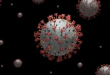 ਭਾਰਤ ਵਿੱਚ ਕੋਵਿਡ-19 ਦੇ ਦੋ ਨਵੇਂ ਵੈਰੀਅੰਟ ਮਿਲੇ, 20 ਤੋਂ ਵੱਧ ਰਾਜਾਂ ਵਿੱਚ ਨਵੇਂ ਕੇਸ – ਜਾਣੋ ਸਰਕਾਰ ਅਤੇ ਵਿਸ਼ੇਸ਼ਗਿਆਨ ਦਾ ਕਿਹਾ