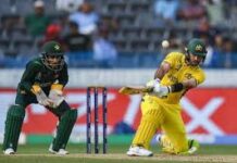 IPL 2025 ਕਦੋਂ ਸ਼ੁਰੂ ਹੋਵੇਗਾ ਅਤੇ ਕਿਹੜੀਆਂ ਟੀਮਾਂ ਹਨ ਪਲੇਆਫ ਦੀ ਦੌੜ ‘ਚ?