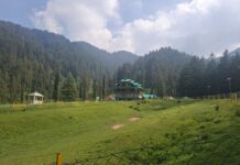 ਦੇਵੀ ਮਾਂ ਸ਼ਿਕਾਰੀ ਦੀ ਛਾਂ ਹੇਠ ਪ੍ਰਾਕ੍ਰਿਤਕ ਸੁੰਦਰਤਾ, ਟ੍ਰੀ ਹਾਊਸ ਅਤੇ ਈਕੋ ਟੂਰਿਜ਼ਮ ਦਾ ਅਨੋਖਾ ਮੇਲ