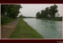 ਸੰਗਰੂਰ: ਵਧਿਆ ਨਹਿਰ ਦਾ ਪਾੜ, ਰਾਤ ਭਰ ਜੂਝੇ ਪਿੰਡਵਾਸੀ, ਹਜ਼ਾਰਾਂ ਏਕੜ ਫਸਲ ਨਾਸ