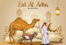 ਚੰਡੀਗੜ੍ਹ: ਹਜ਼ਾਰਾਂ ਨੇ ਪੜ੍ਹੀ ਬਕਰੀਦ ਦੀ ਨਮਾਜ਼, ਕੁਰਬਾਨੀ ਦੇ ਵੀਡੀਓ ਤੋਂ ਪਰਹੇਜ਼ ਦੀ ਅਪੀਲ