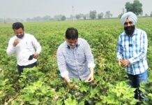 ਖੇਤੀ ਸਮੱਸਿਆ ਦੇ ਹੱਲ ਲਈ ਹੈਲਪ ਡੈਸਕ ਨੰ. 98781-66287 ‘ਤੇ ਕਿਸਾਨ ਕਰਨ ਸੰਪਰਕ