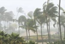 IMD Weather Alert: 11 ਜੂਨ ਤੱਕ ਪੰਜਾਬ ਲਈ ਚੇਤਾਵਨੀ ਅਤੇ ਸਲਾਹ ਜਾਰੀ ਮੌਸਮ ਅਪਡੇਟ: ਪੰਜਾਬ ਸਮੇਤ ਕਈ ਰਾਜਾਂ ’ਚ ਗਰਮੀ ਦਾ ਕਹਿਰ, 11 ਜੂਨ ਤੱਕ ਚੇਤਾਵਨੀ ਜਾਰੀ ਦੱਖਣ-ਪੱਛਮੀ ਮਾਨਸੂਨ ਇਸ ਵਾਰ ਸਮੇਂ ਤੋਂ ਪਹਿਲਾਂ