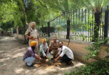 ਡਰਾਈਵਰ ਤੇ ਟੈਕਨੀਕਲ ਇੰਪਲਾਈਜ਼ ਯੂਨੀਅਨ ਨੇ ਜ਼ਿਲ੍ਹਾ ਪ੍ਰਬੰਧਕੀ ਕੰਪਲੈਕਸ ਵਿਖੇ ਬੂਟੇ ਲਗਾਏ