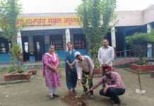 ਸਮੂਹ ਬਲਾਕ ਸਿੱਖਿਆ ਅਫਸਰਾਂ ਵੱਲੋਂ “ਇਕ ਪੇੜ ਮਾਂ ਕੇ ਨਾਮ” ਤਹਿਤ ਸਕੂਲਾਂ ਵਿੱਚ ਪੌਦੇ ਲਗਾਏ
