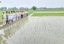 ਝੋਨੇ ਦੀ ਮਸ਼ੀਨੀ ਲਵਾਈ ਲਈ ਕੇਵੀਕੇ ਸੰਗਰੂਰ ਵੱਲੋਂ ਸਿਖਲਾਈ ਪ੍ਰੋਗਰਾਮ