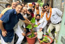 ਕੂੜੇ ਦੀ ਥਾਂ ਸਫਾਈ ਕਰਕੇ ਰੱਖੇ ਖੂਬਸੂਰਤ ਪੌਦਿਆਂ ਵਾਲੇ ਗਮਲੇ