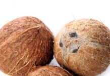 ਨਾਰੀਅਲ ਦੇ ਛਿਲਕੇ ਨਾਲ ਸੱਪਾਂ ਤੋਂ ਬਚਾਅ