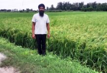ਅੱਗ ਤੋਂ ਬਿਨਾ ਤਿੰਨ ਫਸਲਾਂ ਲੈਣ ਵਾਲਾ ਅਗਾਂਹਵਧੂ ਕਿਸਾਨ: ਹਰਦਿਆਲ ਸਿੰਘ