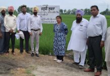 ਪੰਚਾਇਤ ਵਿਭਾਗ ਨੇ 26 ਕਿਲਿਆਂ ਦਾ ਕਬਜ਼ਾ ਪੰਚਾਇਤ ਨੂੰ ਦਵਾਇਆ