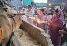 ਮੈਡਮ ਖੁਸ਼ਬੂ ਸਵਨਾ ਵੱਲੋਂ ਗਊ ਪੂਜਾ, ਕਿਹਾ ਗਊ ਸੇਵਾ ਸਭ ਤੋਂ ਵੱਡੀ ਸੇਵਾ