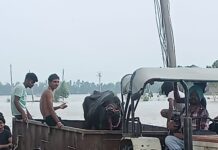 ਪ੍ਰਸ਼ਾਸਨ ਵੱਲੋਂ ਮਨੁੱਖਾਂ ਦੇ ਨਾਲ ਨਾਲ ਜਾਨਵਰਾਂ ਦੀ ਵੀ ਕੀਤਾ ਜਾ ਰਿਹਾ ਹੈ ਰੈਸਕਿਊ