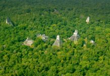 ਮਾਇਆ ਜੰਗਲ ਦੀ ਸੁਰੱਖਿਆ ਲਈ ਤਿੰਨ ਦੇਸ਼ਾਂ ਦਾ ਇਤਿਹਾਸਕ ਸਮਝੌਤਾ