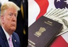 ਟਰੰਪ ਦੇ ਫੈਸਲੇ ਨਾਲ 1.5 ਲੱਖ ਭਾਰਤੀ ਡਰਾਈਵਰਾਂ ਦੀ ਨੌਕਰੀ ਖਤਰੇ ਵਿੱਚ