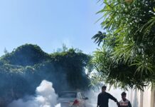 ਵਾਰਡਾਂ ਵਿਚ ਰੋਜਾਨਾ ਪੱਧਰ ਤੇ ਕਰਵਾਈ ਜਾ ਰਹੀ ਹੈ ਫੋਗਿੰਗ