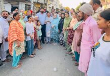 ਵਿਧਾਇਕ ਸ਼ੈਰੀ ਕਲਸੀ ਵੱਲੋਂ ਸਿੰਬਲ ਚੌਂਕ ਤੋਂ ਧੁੱਪਸੜੀ ਤੱਕ ਰੋਡ ਲਾਈਟਾਂ ਦੀ ਸ਼ੁਰੂਆਤ