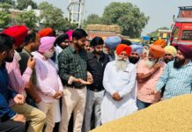 ਸ਼ੈਰੀ ਕਲਸੀ ਨੇ ਦਾਣਾ ਮੰਡੀ ਬਟਾਲਾ ਵਿਖੇ ਝੋਨੇ ਦੀ ਖਰੀਦ ਪ੍ਰਕਿਰਿਆ ਦਾ ਲਿਆ ਜਾਇਜ਼ਾ