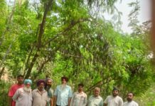 ਹੜ੍ਹਾਂ ਦੇ ਨੁਕਸਾਨ ਦੀ ਸਹੀ ਰਿਪੋਰਟ 2 ਹਫ਼ਤੇ ਵਿੱਚ ਜਮ੍ਹਾਂ ਕਰੋ: ਆਸ਼ਿਕਾ ਜੈਨ