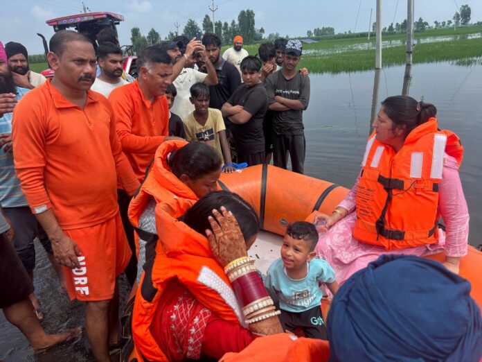 WhatsApp Image 2025-09-03 at 5.01.23 PM (1)