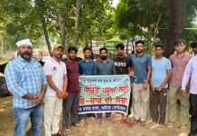 ਧਰਾਂਗਵਾਲਾ ਦੇ ਨੌਜਵਾਨਾਂ ਵੱਲੋਂ ਹੜ੍ਹ ਪੀੜਤਾਂ ਲਈ ਹਰੇ ਚਾਰੇ ਦੀ ਸੇਵਾ