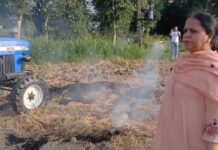 ਐਸ.ਡੀ.ਐਮ. ਅਮਰਗੜ੍ਹ ਨੇ ਪਿੰਡ ਮੁਹੰਮਦਪੁਰਾ ਵਿੱਚ ਖੁਦ ਬੁਝਾਈ ਪਰਾਲੀ(ਲੂਜ ਸਟਰਾਅ) ਨੂੰ ਲੱਗੀ ਅੱਗ