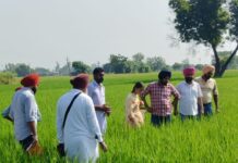 ਜਿ਼ਲ੍ਹੇ ਵਿੱਚ ਨਹੀਂ ਪਾਇਆ ਗਿਆ ਚੀਨੀ ਵਾਇਰਸ