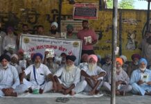 ਪਿੰਡ ਰੋਗਲਾ ‘ਚ ਫਸਲੀ ਵਿਭਿੰਨਤਾ ਅਤੇ ਪਰਾਲੀ ਸੰਭਾਲ ਲਈ ਜਾਗਰੂਕਤਾ ਕੈਂਪ