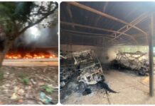 ਮੋਹਾਲੀ : ਚਿੜੀਆਘਰ ਵਿੱਚ ਇਲੈਕਟ੍ਰਾਨਿਕ ਗੱਡੀਆਂ ਨੂੰ ਲੱਗੀ ਭਿਆਨਕ ਅੱਗ, ਫਾਇਰ ਬ੍ਰਿਗੇਡ ਦੀਆਂ ਟੀਮਾਂ ਨੇ ਜੱਦੋ-ਜਹਿਦ ਤੋਂ ਬਾਅਦ ਅੱਗ ‘ਤੇ ਕਾਬੂ ਪਾਇਆ; ਭਾਰੀ ਮਾਲੀ ਨੁਕਸਾਨ