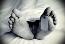 ਆਸਟ੍ਰੇਲੀਆ: ਕ੍ਰੂਜ਼ ਦੀ ਗਲਤੀ ਕਾਰਨ 80 ਸਾਲਾ ਮਹਿਲਾ ਦੀ ਟਾਪੂ ‘ਤੇ ਮੌ*ਤ