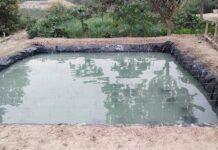 ਮੰਡੀ ਦੇ ਨੌਜਵਾਨਾਂ ਨੂੰ ਮਿਲਿਆ ਮੱਛੀ ਪਾਲਣ ਰਾਹੀਂ ਨਵਾਂ ਰੋਜ਼ਗਾਰ ਦਾ ਮੌਕਾ