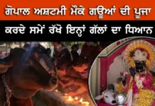 ਗੋਪਾਲ ਅਸ਼ਟਮੀ ‘ਤੇ ਪਠਾਨਕੋਟ ਦੀਆਂ ਗਊਸ਼ਾਲਾਵਾਂ ‘ਚ ਉਮੜੀ ਸ਼ਰਧਾ