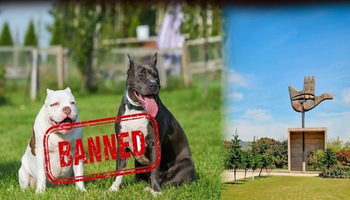 WhatsApp-Image-2025-10-30-at-2.15.01-PM