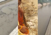 ਸ਼੍ਰੀ ਗੰਗਾਨਗਰ ਨਹਿਰ ਵਿੱਚੋਂ ਭੁੱਕੀ ਦਾ ਛਿਲਕਾ ਮਿਲਿਆ; ਲੋਕਾਂ ਨੇ ਪਾਣੀ ਵਿੱਚੋਂ ਕੱਢ ਕੇ ਘਰ ਲੈ ਗਿਆ। ਧਿਆਨਯੋਗ ਹੈ ਕਿ ਰਾਜ ਵਿੱਚ ਭੁੱਕੀ ‘ਤੇ ਪੂਰੀ ਤਰ੍ਹਾਂ ਪਾਬੰਦੀ ਲੱਗੀ ਹੋਈ ਹੈ।