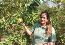 ਹਿਮਾਚਲ ‘ਚ ‘ਐਚਪੀ ਸ਼ਿਵਾ’ ਦੀ ਰੌਣਕ: ਸਰਕਾਘਾਟ ਦੇ ਗਧਯਾਨੀ ਕਲੱਸਟਰ ਨੇ ਸਫਲਤਾ ਦੀ ਨਵੀਂ ਕਹਾਣੀ ਲਿਖੀ ਹਿਮਾਚਲ ‘ਚ ‘ਐਚਪੀ ਸ਼ਿਵਾ’ ਦੀ ਰੌਣਕ: ਸਰਕਾਘਾਟ ਦੇ ਗਧਯਾਨੀ ਕਲੱਸਟਰ ਨੇ ਸਫਲਤਾ ਦੀ ਨਵੀਂ ਕਹਾਣੀ ਲਿਖੀ