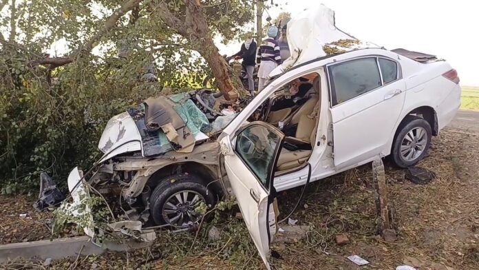 WhatsApp-Image-2025-11-26-at-12.25.28-PM-1