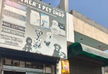 ਪੈਟ ਸ਼ੌਪ ਖੋਲ੍ਹਣ ਲਈ ਰਜਿਸਟਰੇਸ਼ਨ ਲਾਜ਼ਮੀ