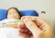 ਵਾਇਰਲ ਤੇ ਡੇਂਗੂ ਬੁਖਾਰ ਵਿੱਚ ਕੀ ਫਰਕ ਹੈ? ਇਸ ਤਰ੍ਹਾਂ ਕਰ ਸਕਦੇ ਹੋ ਡੇਂਗੂ ਦੀ ਪਛਾਣ ਵਾਇਰਲ ਤੇ ਡੇਂਗੂ ਬੁਖਾਰ ਵਿੱਚ ਕੀ ਫਰਕ ਹੈ? ਇਸ ਤਰ੍ਹਾਂ ਕਰ ਸਕਦੇ ਹੋ ਡੇਂਗੂ ਦੀ ਪਛਾਣ