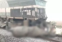 ਰਾਜਧਾਨੀ ਐਕਸਪ੍ਰੈਸ ਹਾਦਸਾ ਅਸਾਮ ਵਿੱਚ: ਹਾਥੀਆਂ ਨਾਲ ਟੱਕਰ