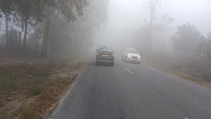 ਸੰਘਣੇ ਕੋਹਰੇ ਨਾਲ ਵਧੀ ਠੰਡ, ਧੁੰਦ ਕਾਰਨ ਜਨਜੀਵਨ ਬੁਰੀ ਤਰ੍ਹਾਂ ਪ੍ਰਭਾਵਿਤ