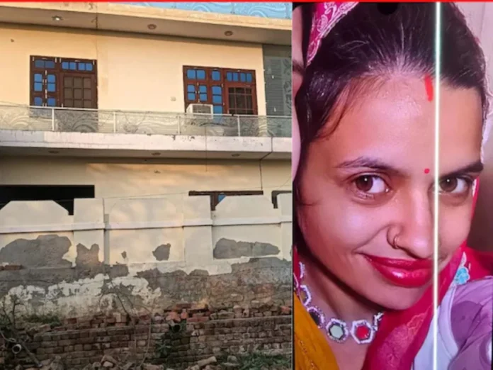 graphics1356-2025-12-a86db2b436ccbf4940a448829b9aa03a