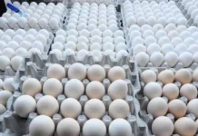 ਆਂਡਿਆਂ ‘ਚ ਖਤਰਨਾਕ ਰਸਾਇਣ ਮਿਲਣ ਦਾ ਦਾਅਵਾ: ਕੀ ਵਧ ਰਿਹਾ ਹੈ ਕੈਂਸਰ ਦਾ ਖਤਰਾ? ਡਾਕਟਰ ਨੇ ਦੱਸੀ ਪੂਰੀ ਸੱਚਾਈ ਆਂਡਿਆਂ ‘ਚ ਖਤਰਨਾਕ ਰਸਾਇਣ ਮਿਲਣ ਦਾ ਦਾਅਵਾ: ਕੀ ਵਧ ਰਿਹਾ ਹੈ ਕੈਂਸਰ ਦਾ ਖਤਰਾ? ਡਾਕਟਰ ਨੇ ਦੱਸੀ ਪੂਰੀ ਸੱਚਾਈ