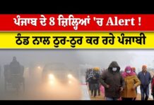 ਪੰਜਾਬ ‘ਚ ਠੰਡ ਦਾ ਪ੍ਰਕੋਪ ਤੇਜ਼, 8 ਜ਼ਿਲ੍ਹਿਆਂ ‘ਚ ਸੀਤ ਲਹਿਰ ਦਾ ਐਲਰਟ ਜਾਰੀ