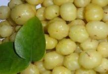 ਉਂਗਲਾਂ ਚੱਟਣ ਲਈ ਮਜਬੂਰ ਕਰ ਦੇਵੇਗਾ! ਬਿਨਾਂ ਤੇਲ ਤੇ ਭਾਰੇ ਮਸਾਲਿਆਂ ਦੇ ਬਣਾਓ ਆਂਵਲੇ ਦਾ ਸਿਹਤਮੰਦ ਤੇ ਲਾਜਵਾਬ ਅਚਾਰ