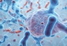 2025 ਵਿੱਚ ਗੂਗਲ ‘ਤੇ ਸਭ ਤੋਂ ਵੱਧ ਸਰਚ ਕੀਤਾ ਗਿਆ HMPV ਵਾਇਰਸ: ਆਸਾਨ ਭਾਸ਼ਾ ਵਿੱਚ ਪੂਰਾ ਜਾਣਕਾਰੀ A ਤੋਂ Z 2025 ਵਿੱਚ ਗੂਗਲ 'ਤੇ ਸਭ ਤੋਂ ਵੱਧ ਸਰਚ ਕੀਤਾ ਗਿਆ HMPV ਵਾਇਰਸ: ਆਸਾਨ ਭਾਸ਼ਾ ਵਿੱਚ ਪੂਰਾ ਜਾਣਕਾਰੀ A ਤੋਂ Z